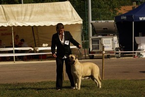 CH. Baya du domaine de Couroules