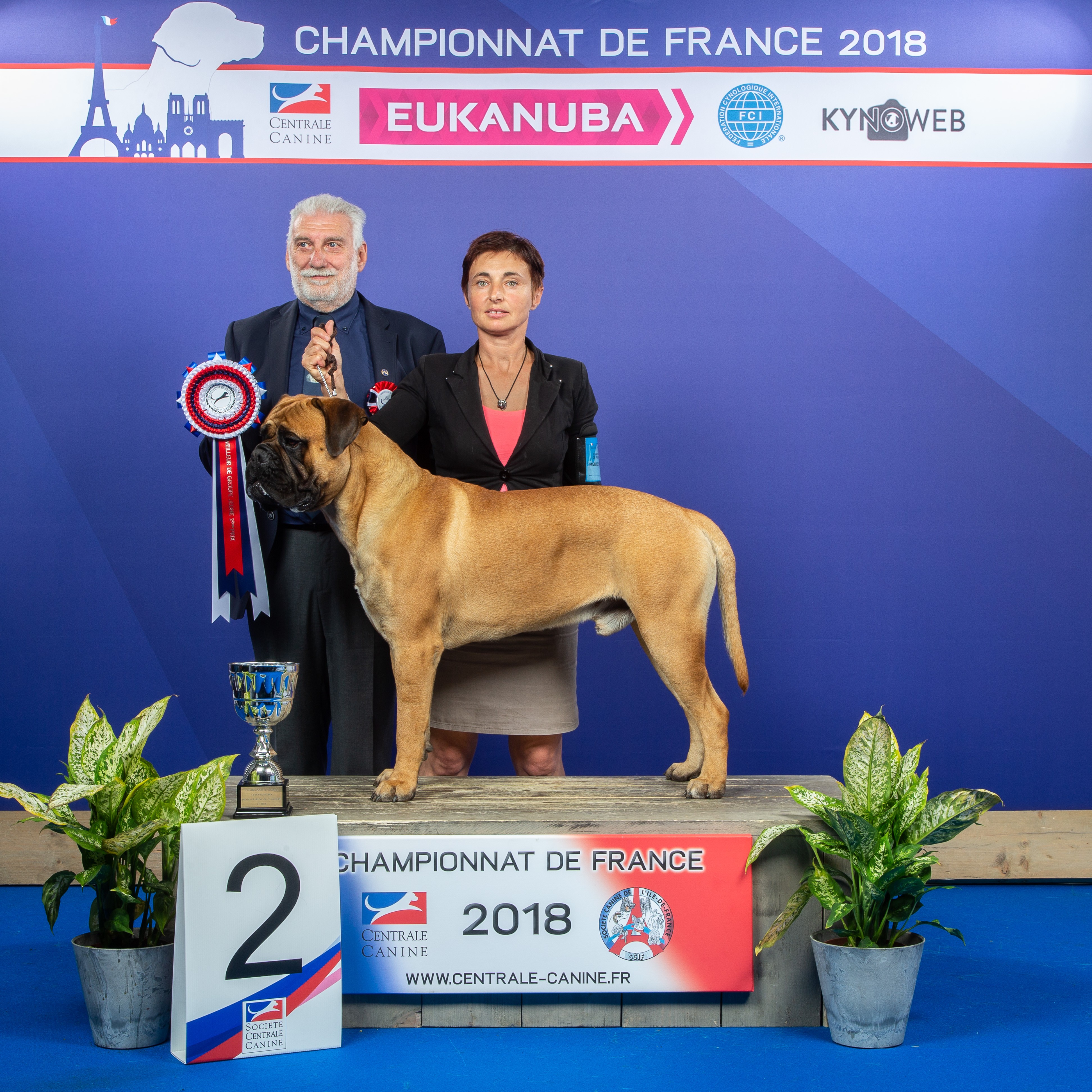 CH. Nec plus ultra du Temps des Paluns